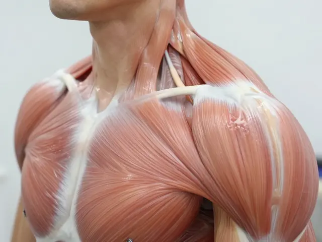 Klasická vs. tantrická masáž: Kterou vybrat pro vaše potřeby?